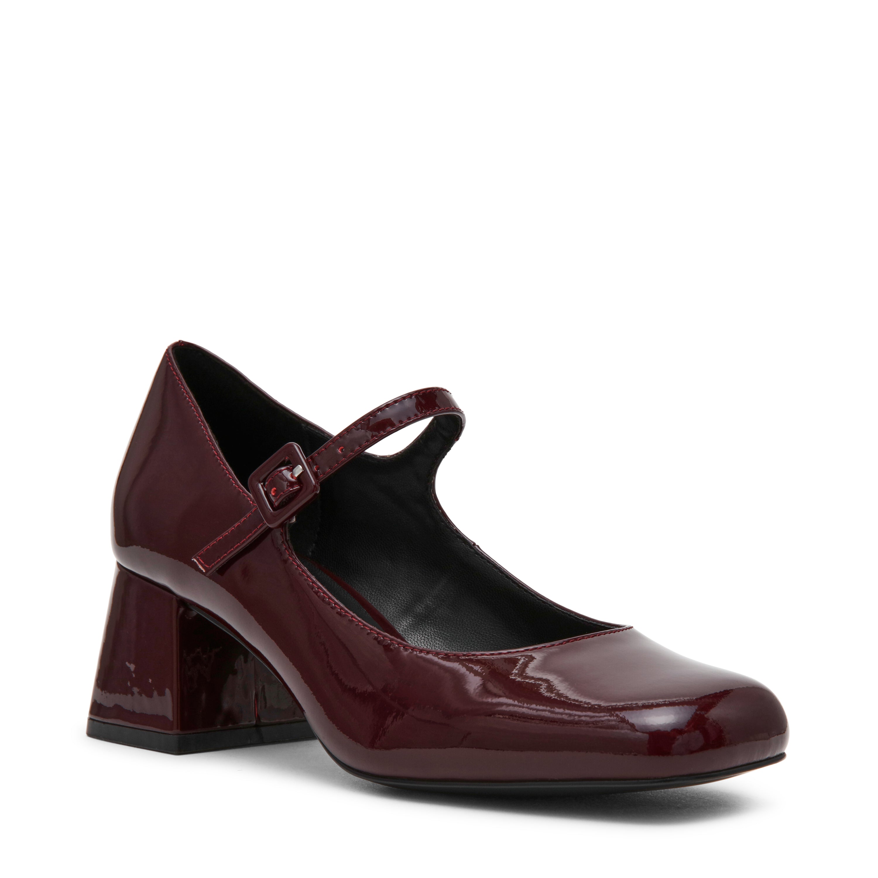 Darcey Pump WNE PATENT - view 2