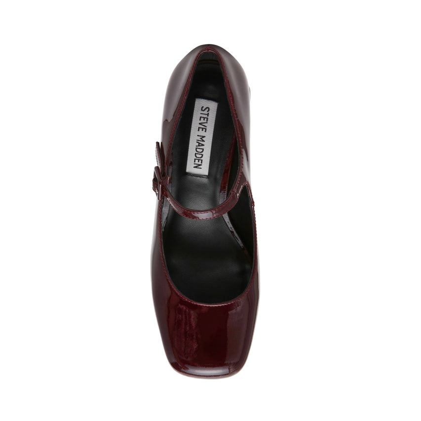 Darcey Pump WNE PATENT - view 5