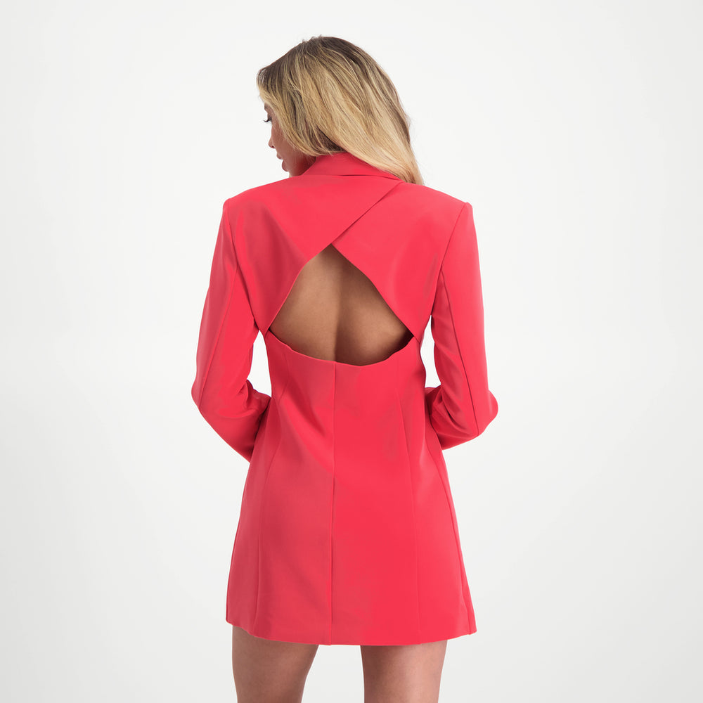 Steve Madden Apparel Reagan Dress HOT PINK Dresses All Products